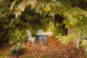 Photo 29- click for photo gallery